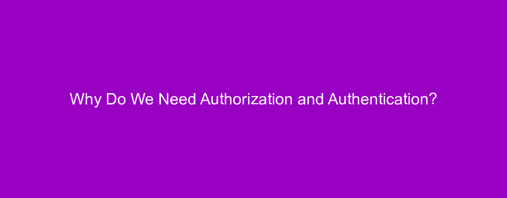 Why Do We Need Authorization and Authentication?